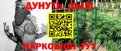 стаф Кингисепп