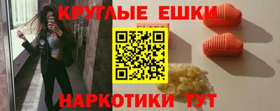 стаф Кингисепп