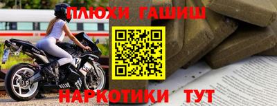 стаф Кингисепп