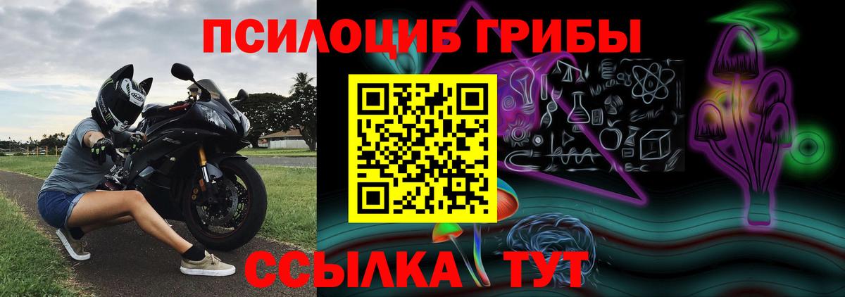 Галлюциногенные грибы GOLDEN TEACHER  где купить   Вход с VPN  Кунгур  Галлюциногенные грибы Magic Shrooms 